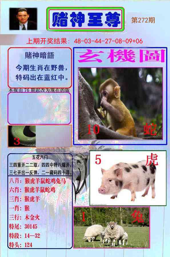 272期赌神至尊[图]