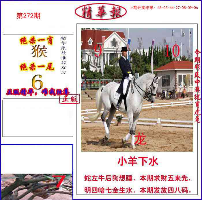 272期新精华报报[图]