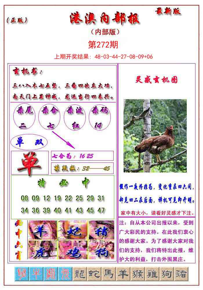 272期港澳报[图]