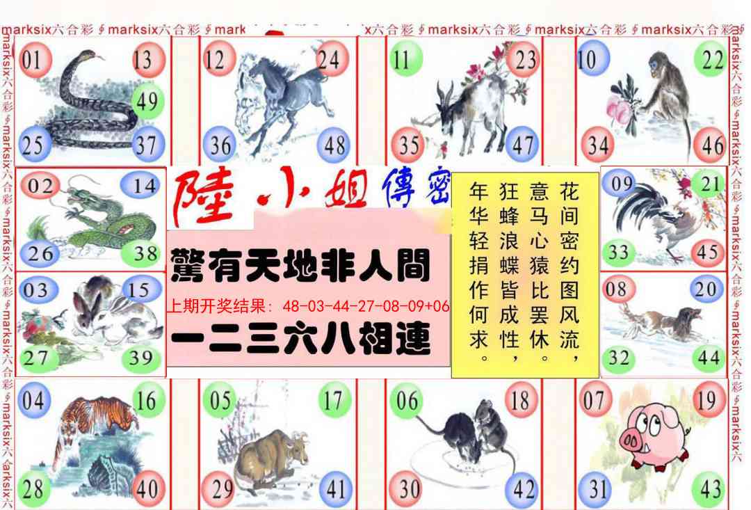 272期陆小姐传密B[图]