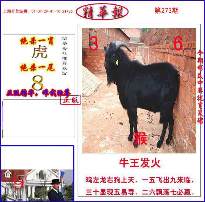 273期新精华报报[图]