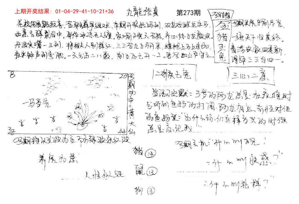 273期手写九龙内幕[图]