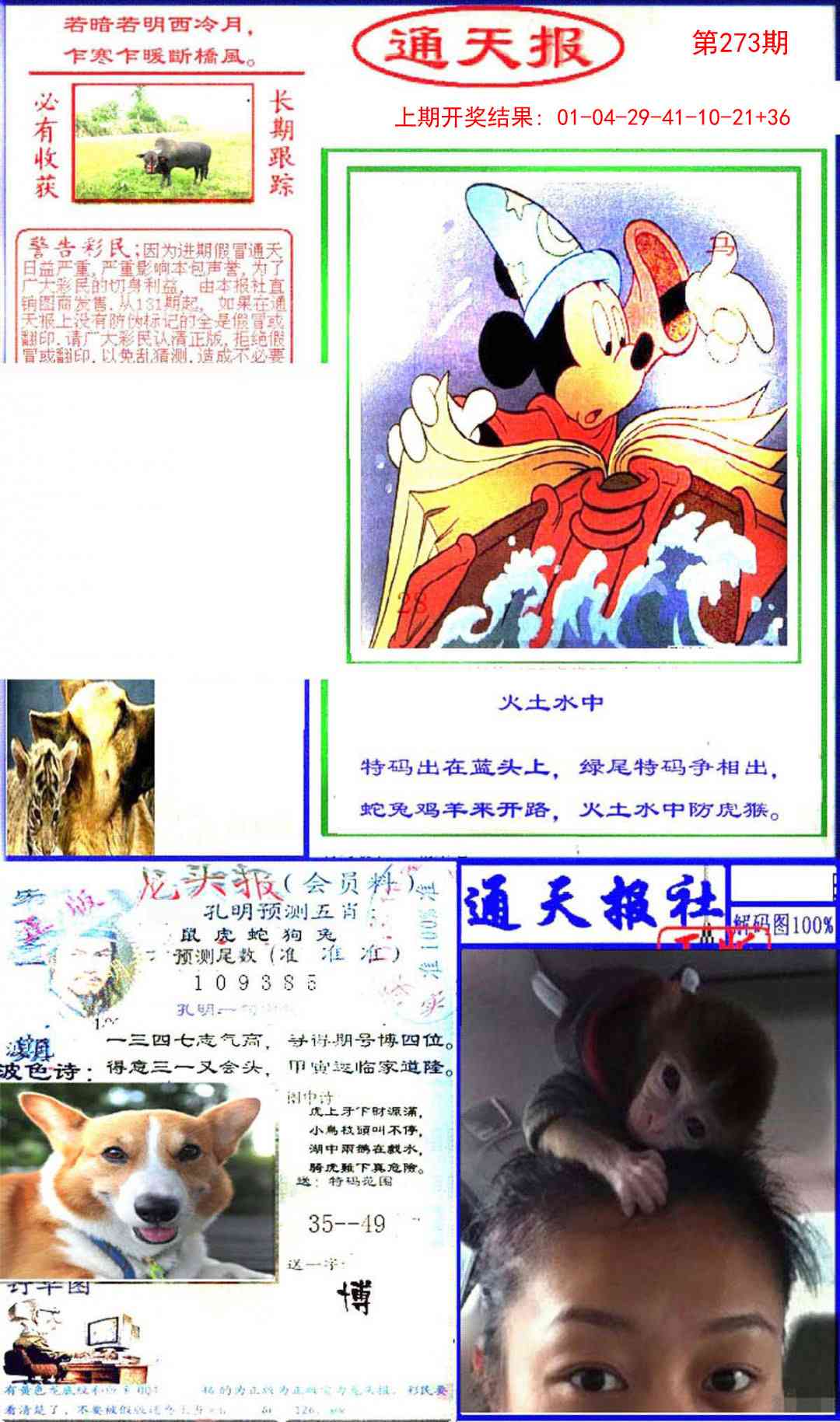 273期实力通天报[图]