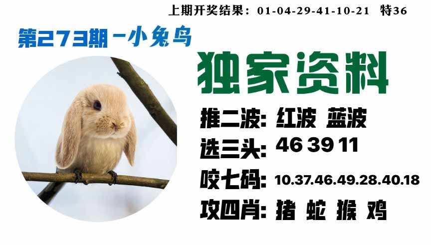 273期小兔鸟[图]