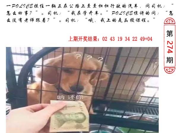 274期澳门生活幽默[图]