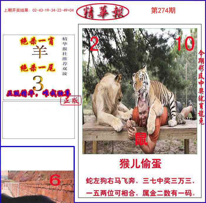 274期新精华报报[图]