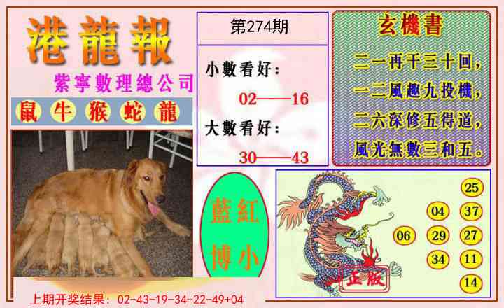 274期港龙报[图]