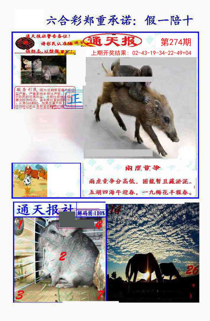 274期假一陪十通天报[图]