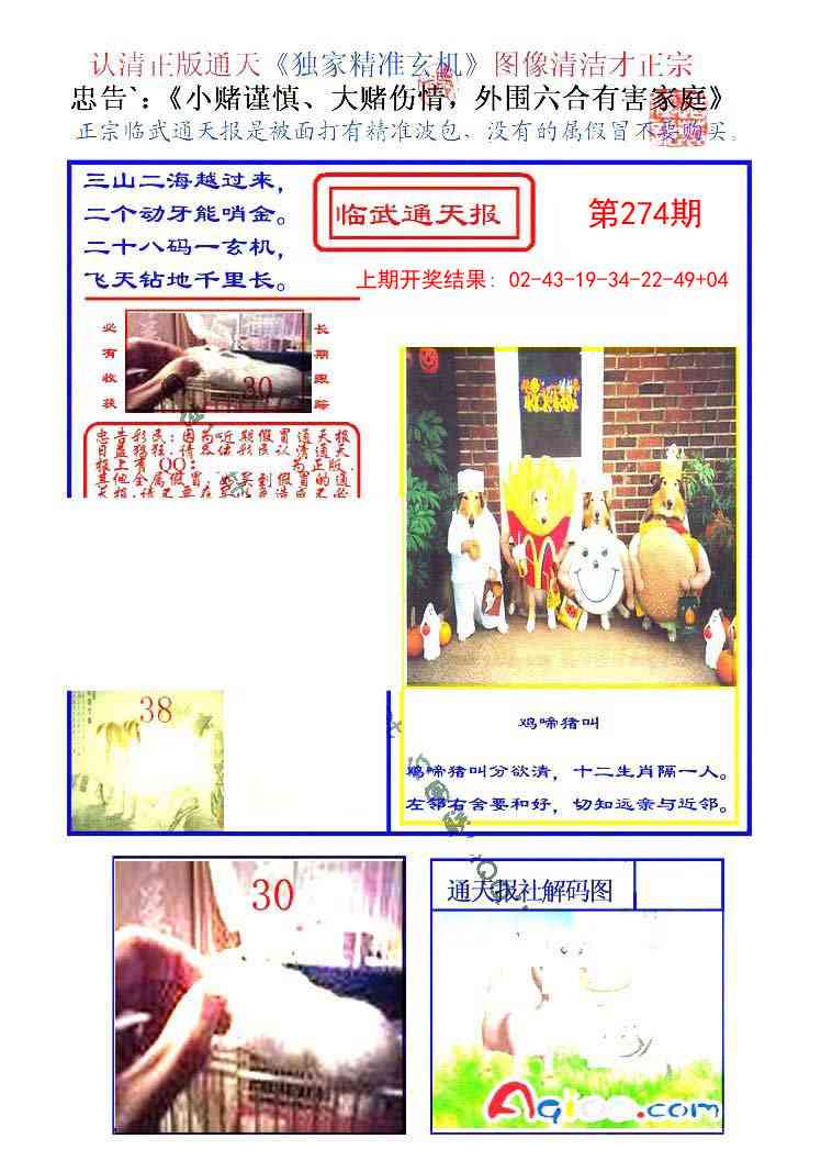 274期临武通天报[图]