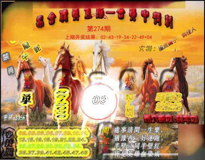 274期马会传真-会员报[图]