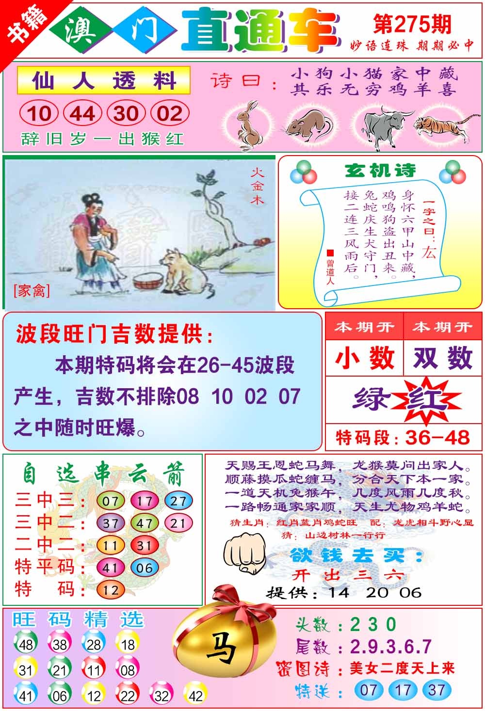 275期白姐直通车[图]