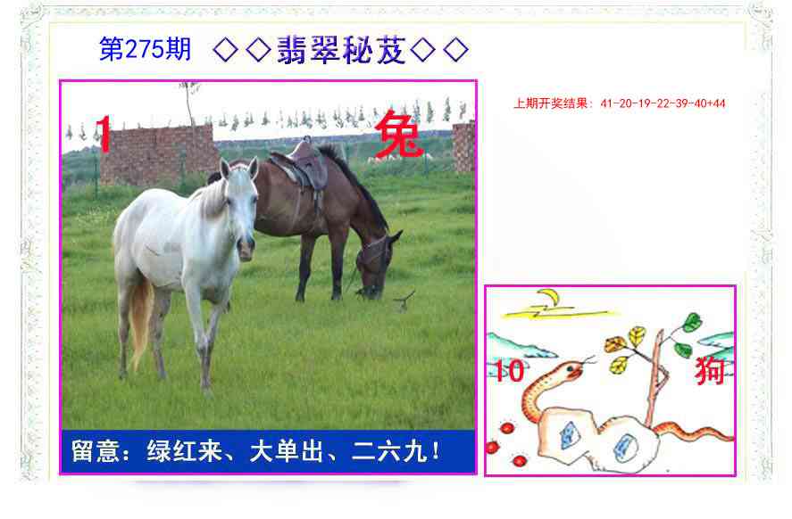 275期翡翠报[图]