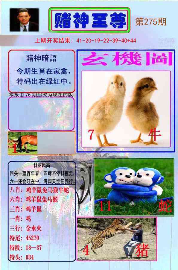 275期赌神至尊[图]