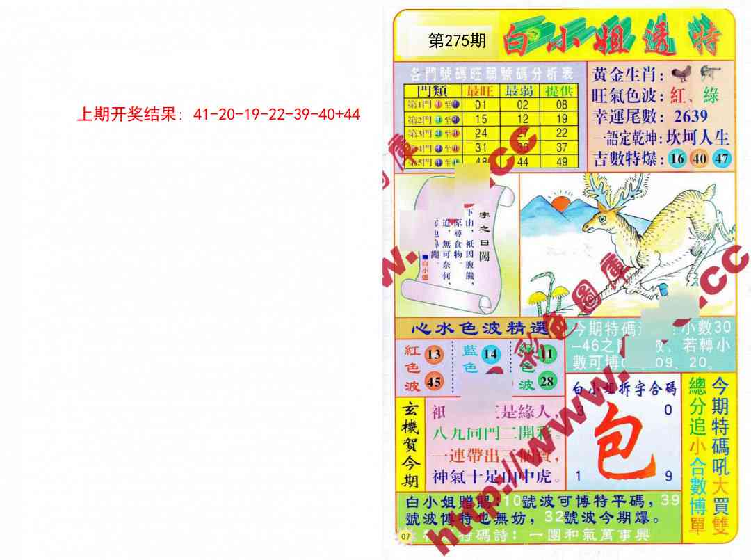 275期白小姐透特[图]