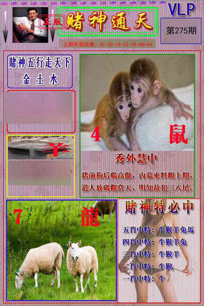 275期赌神通天报[图]