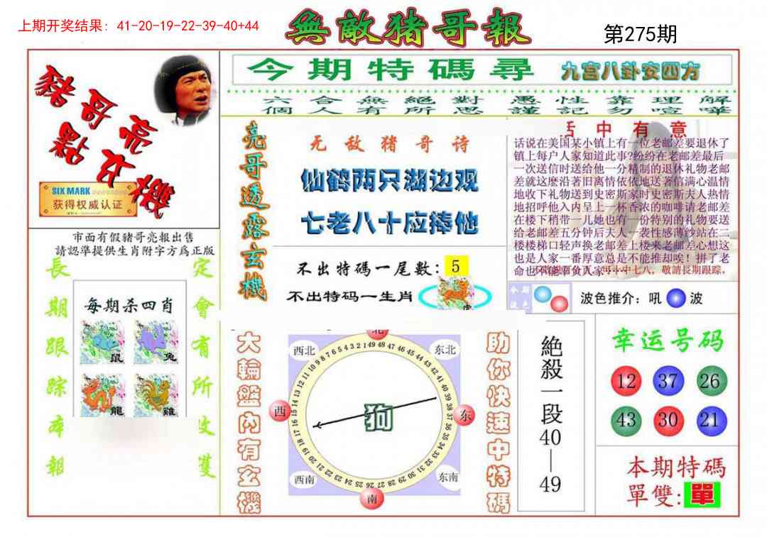 275期无敌猪哥[图]