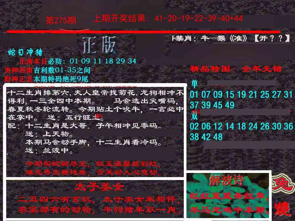 275期新港内幕[图]