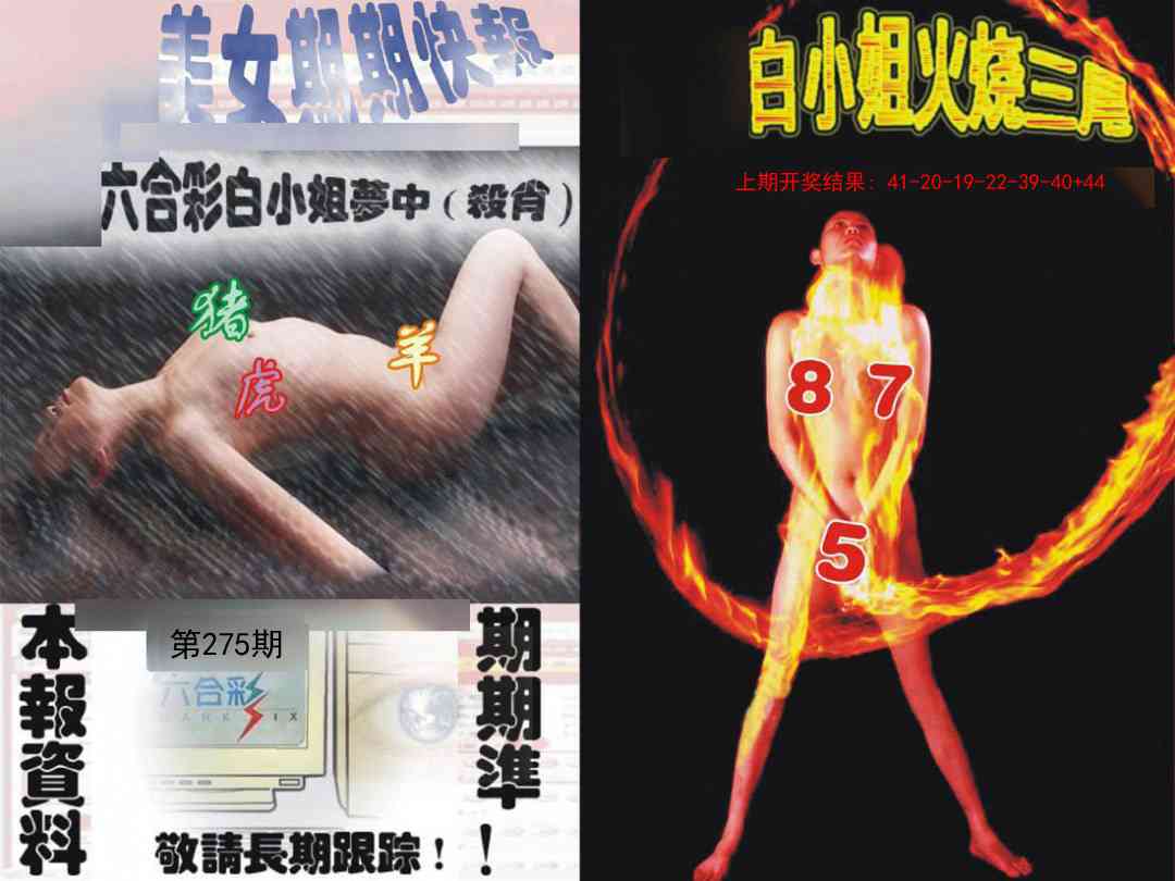 275期环球美女特码报[图]