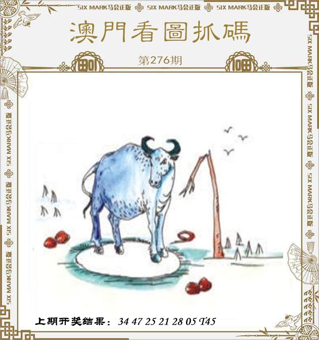 276期澳门看图抓码[图]