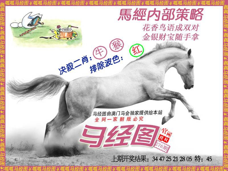 276期马经5[图]