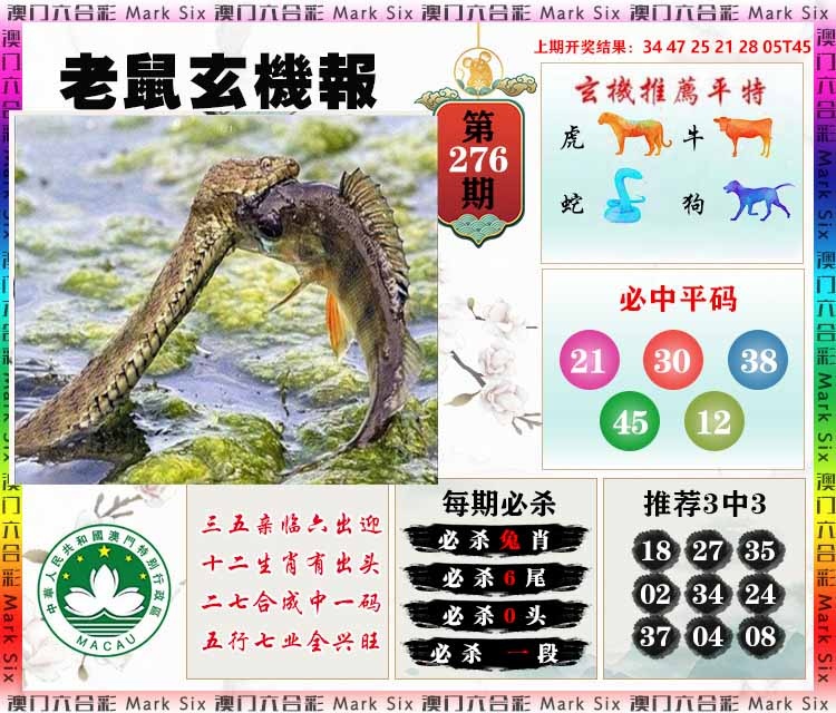 276期老鼠玄机报[图]