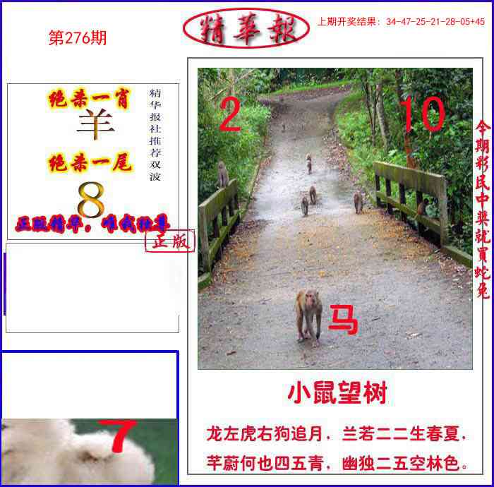 276期新精华报报[图]