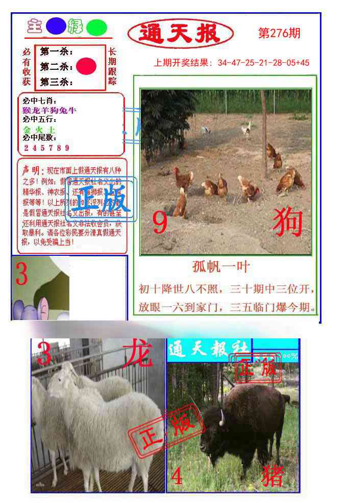 276期通天杀波图1[图]