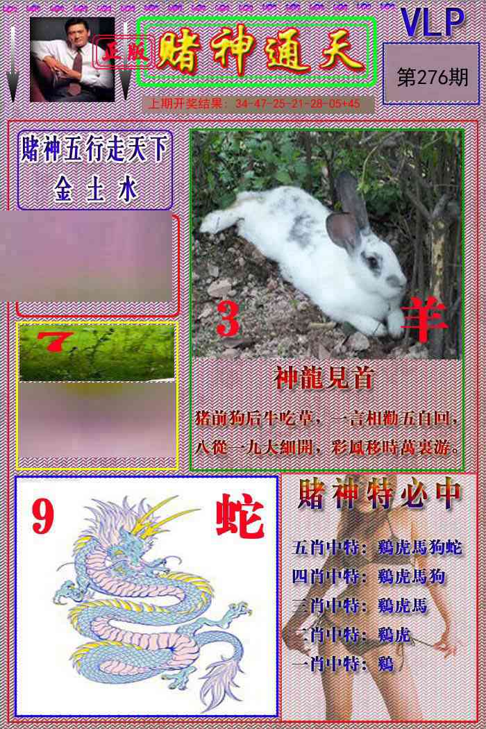 276期赌神通天报[图]