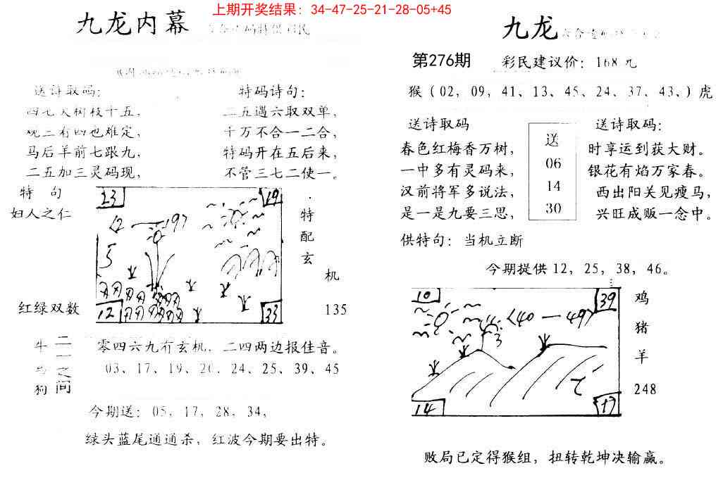 276期九龙内幕[图]