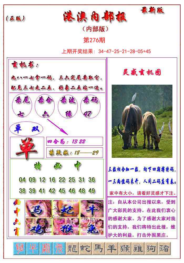 276期港澳报[图]