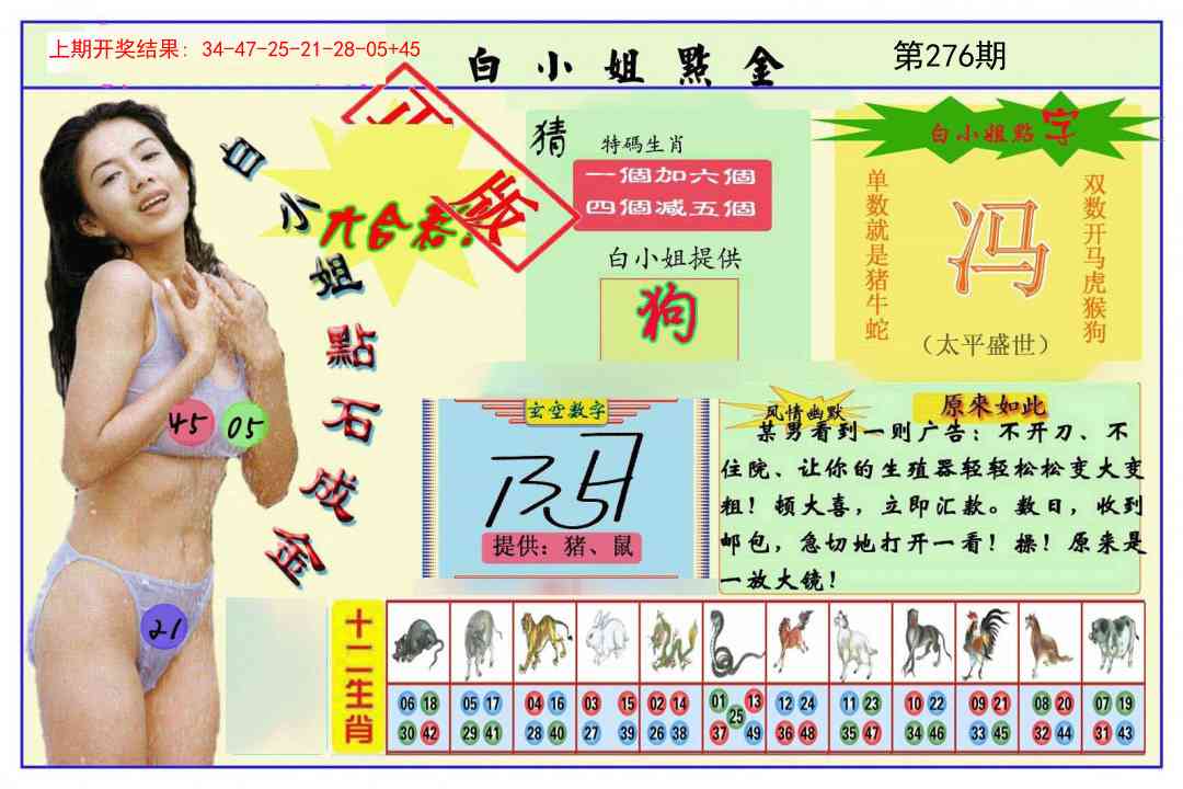 276期白小姐点金[图]