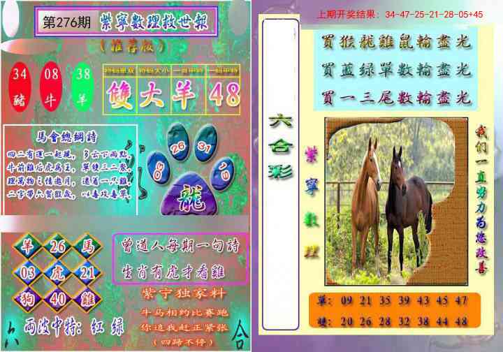 276期数理救世报[图]