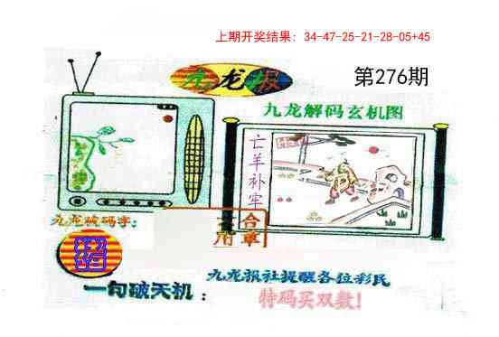 276期九龙报[图]