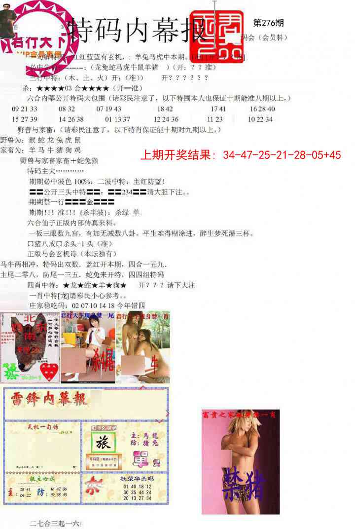 276期特码内幕报[图]