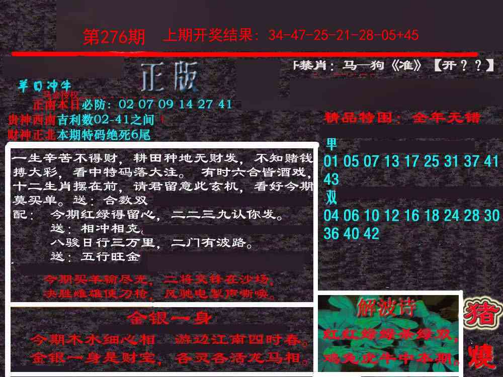 276期新港内幕[图]