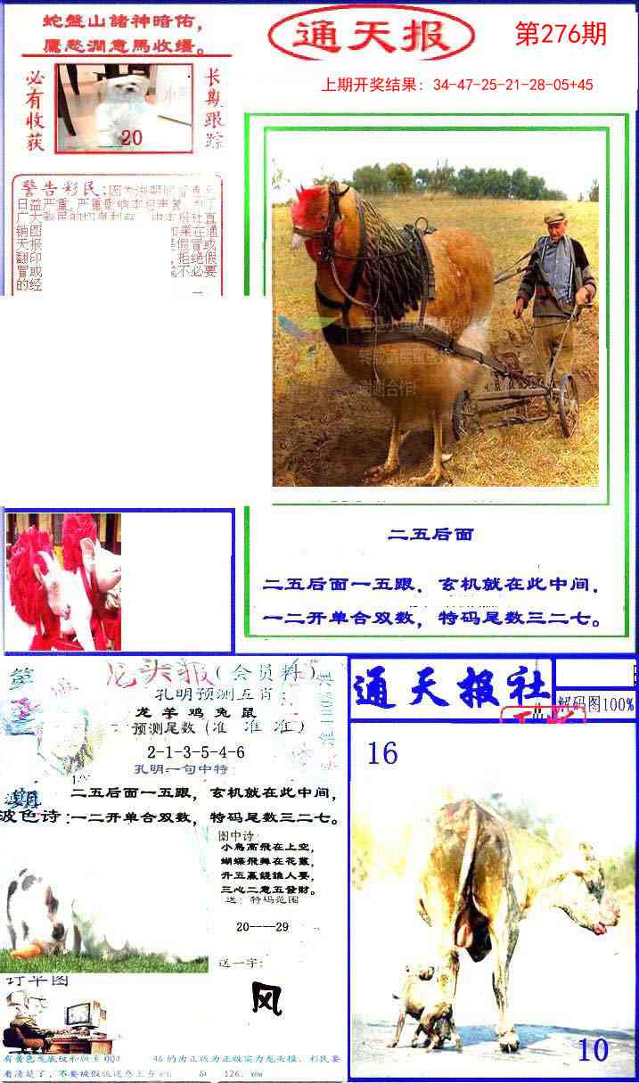 276期实力通天报[图]