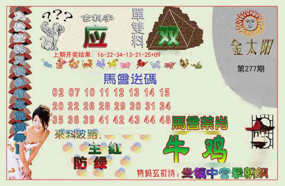 277期金太阳[图]