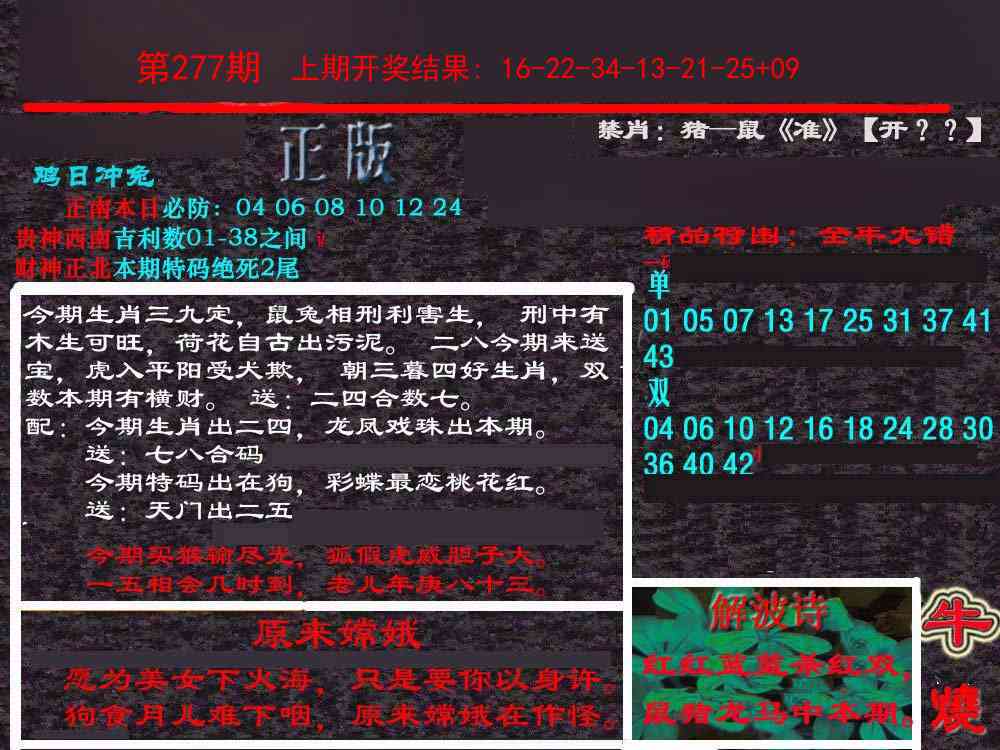 277期新港内幕[图]