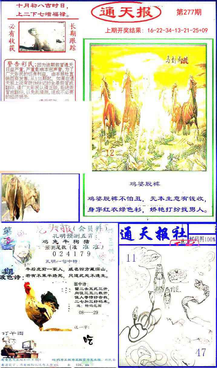 277期实力通天报[图]