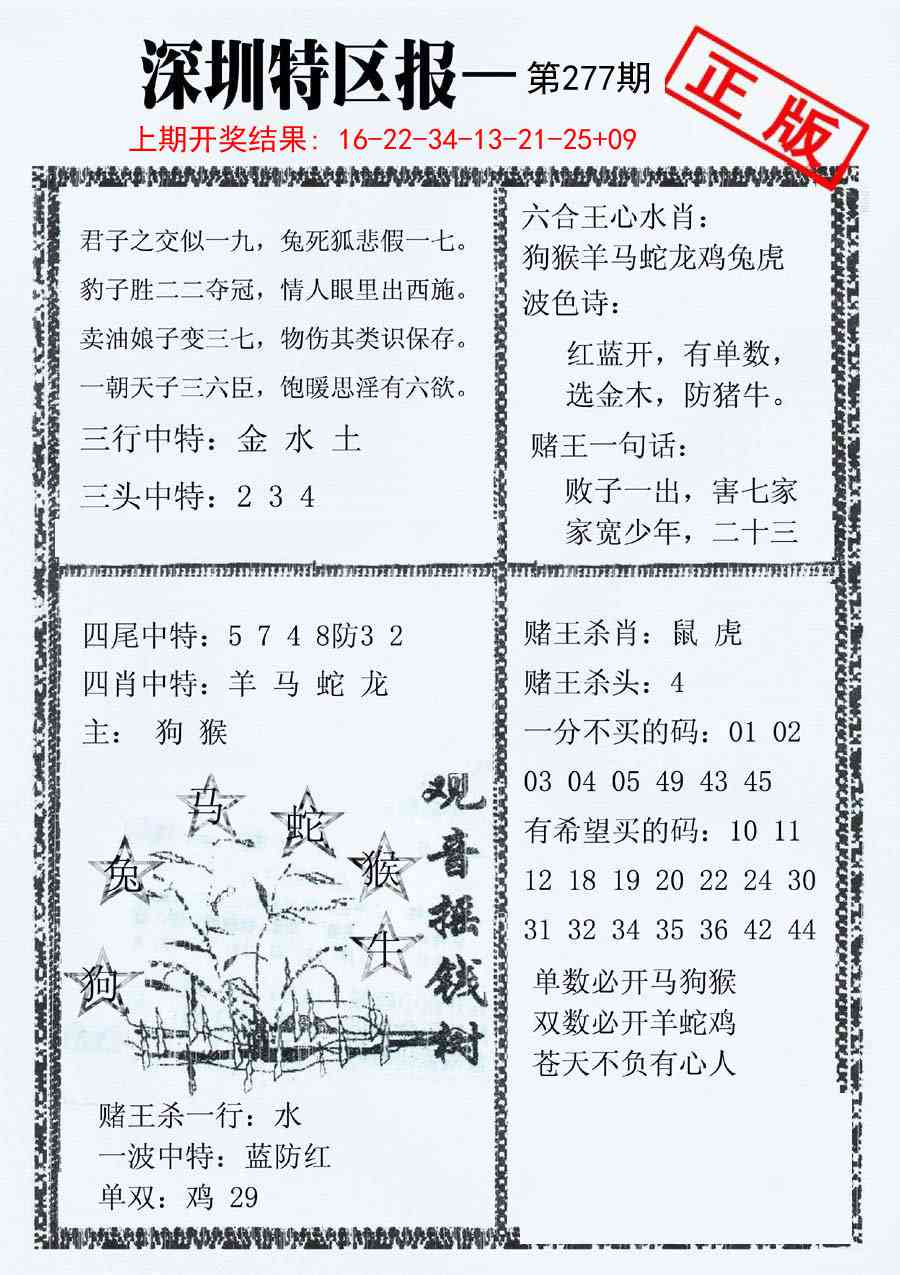 277期深圳特区报A[图]