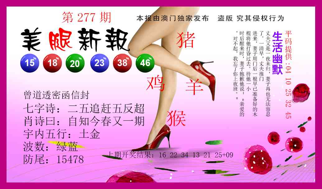 277期美腿新报[图]