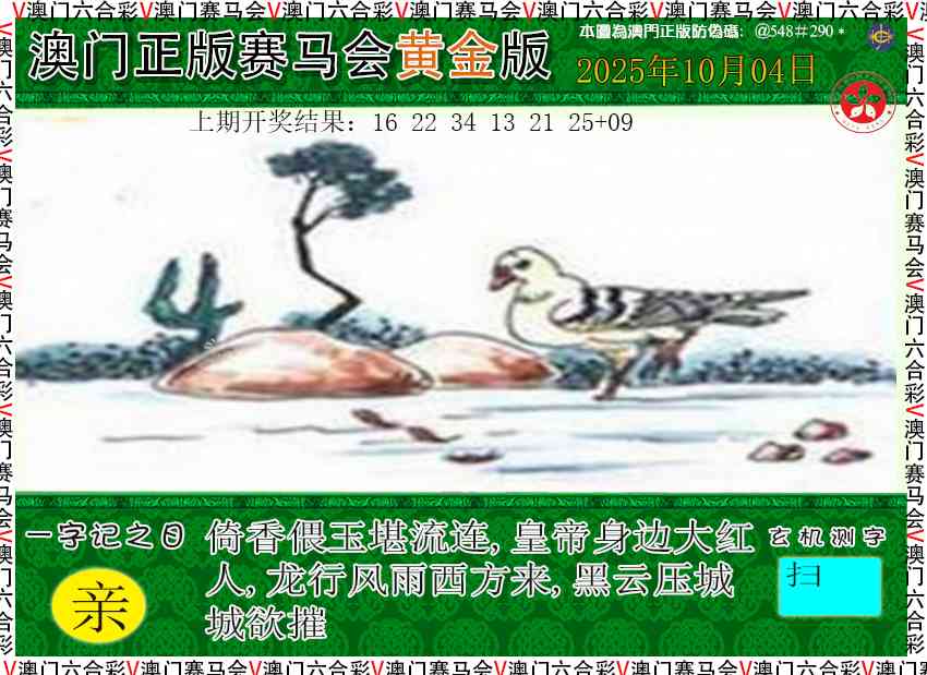 277期赛马会黄金版[图]