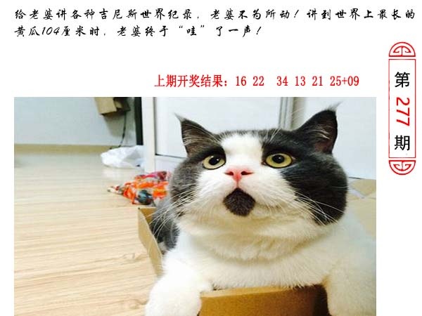 277期澳门生活幽默[图]