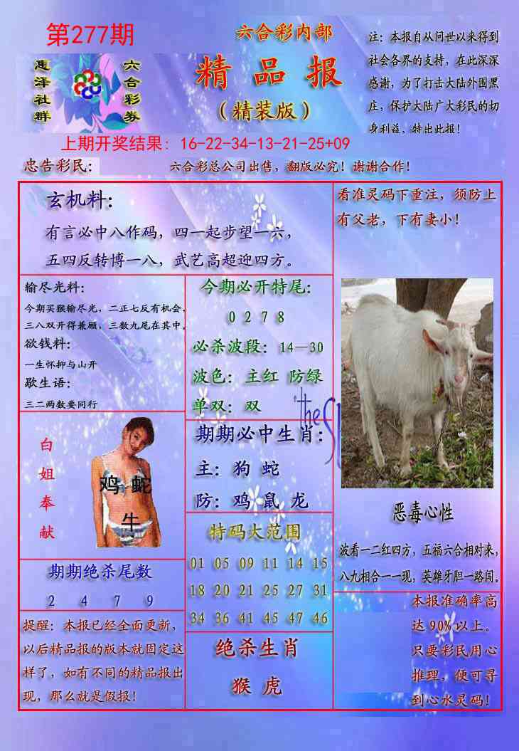 277期精品报[图]