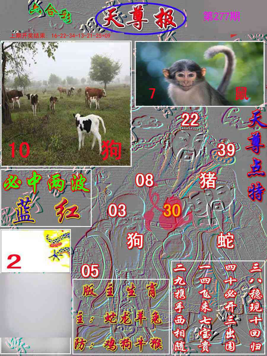 277期天尊报[图]