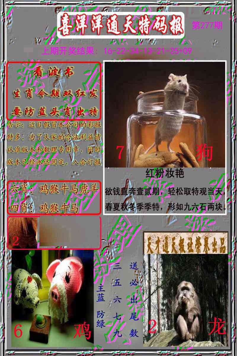 277期洋通报[图]