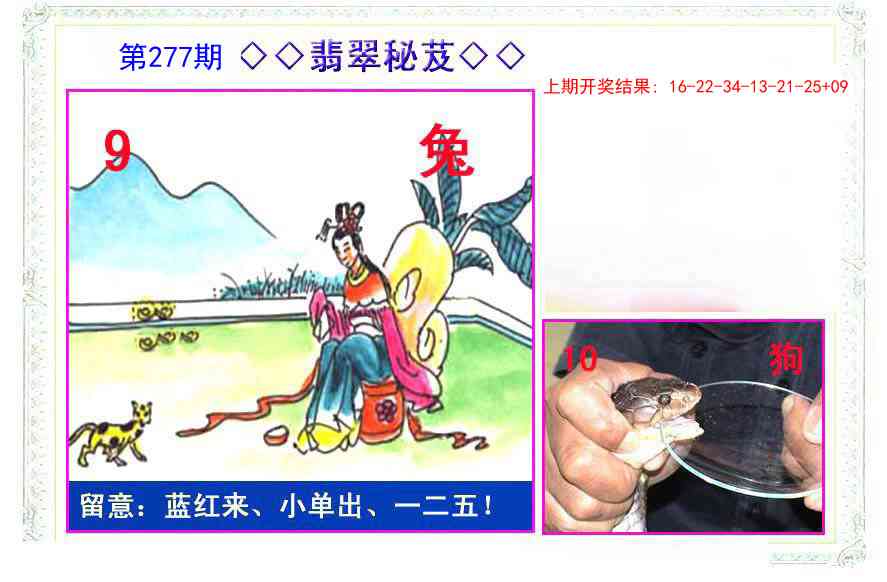 277期翡翠报[图]