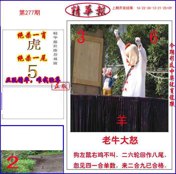 277期新精华报报[图]