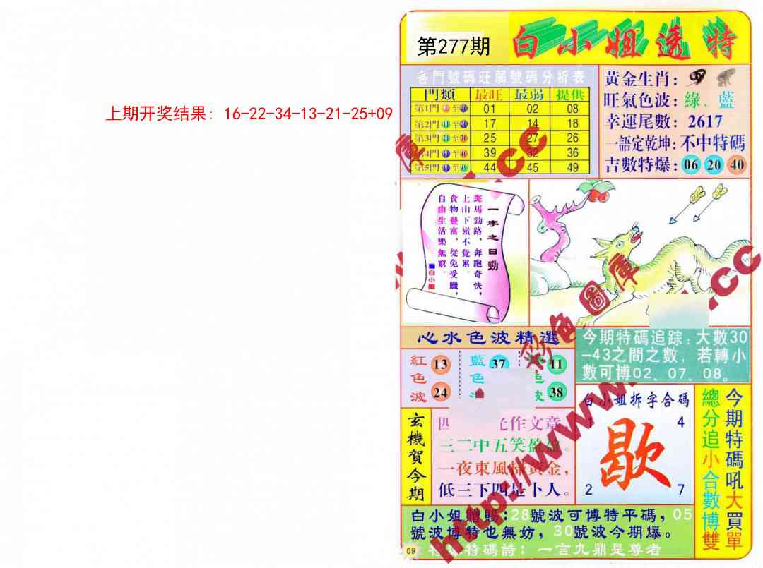 277期白小姐透特[图]