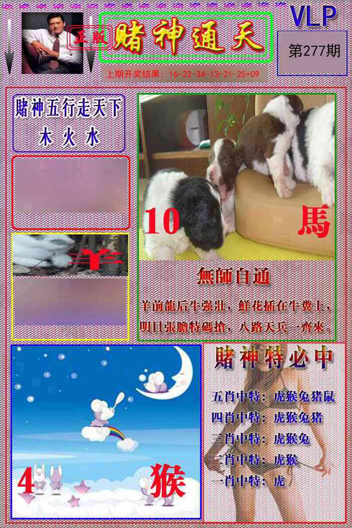 277期赌神通天报[图]